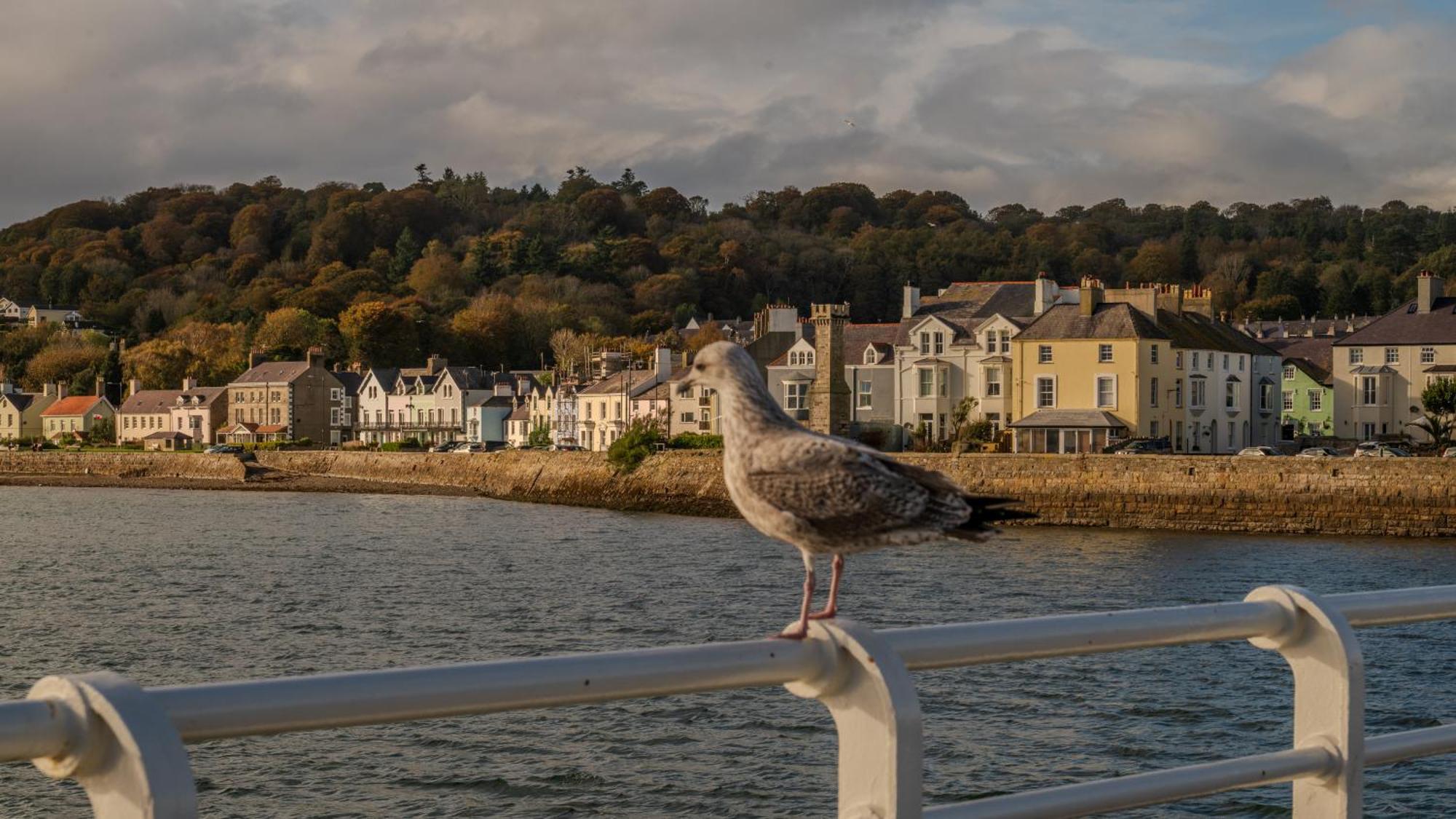 Hotel Castle Court Beaumaris Exteriér fotografie